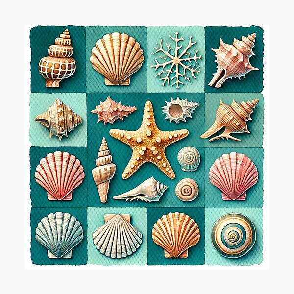 Item preview, Sea Shells designed and sold by Moreau58.