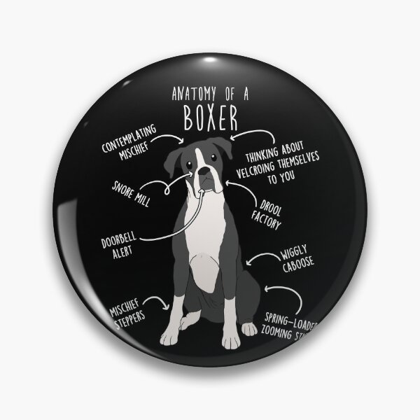 Item preview, Boxer Dog Reverse Brindle Seal Anatomy designed and sold by Clara Hollins.