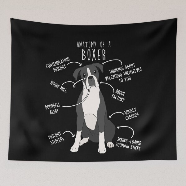 Item preview, Boxer Dog Reverse Brindle Seal Anatomy designed and sold by Clara Hollins.