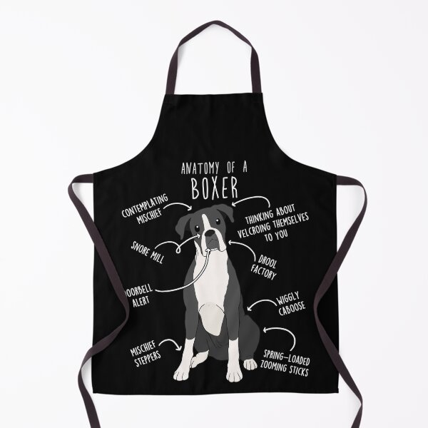 Item preview, Boxer Dog Reverse Brindle Seal Anatomy designed and sold by Clara Hollins.