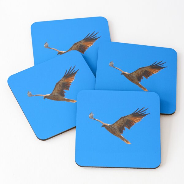Item preview, Whistling Kite flying designed and sold by BirdsAlive.