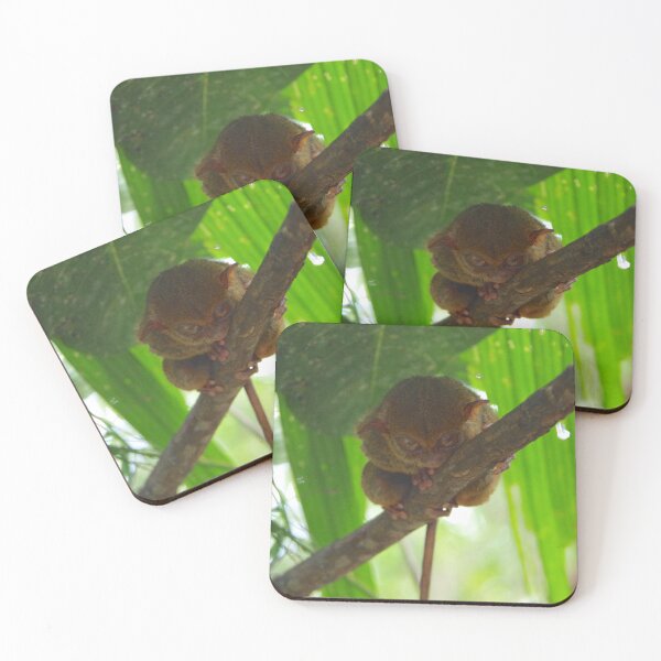 Item preview, Tarsero filipino en una rama en Bohol, Filipinas designed and sold by The Botanical Jason.