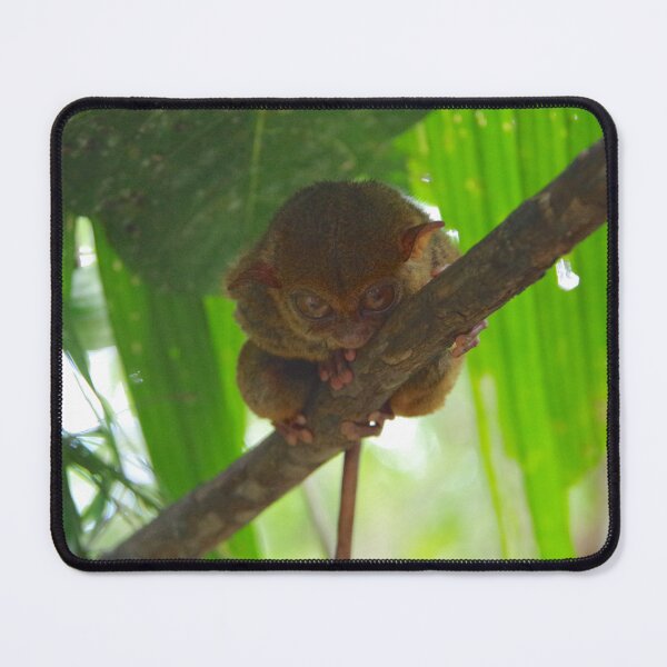 Item preview, Philippine Tarsier on a branch in Bohol, Philippines designed and sold by The Botanical Jason.