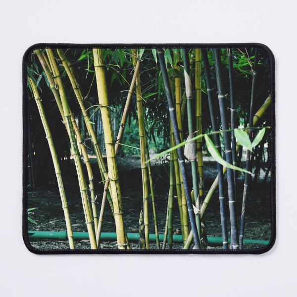 Item preview, Bamboo trees in my Garden designed and sold by Rav33822.
