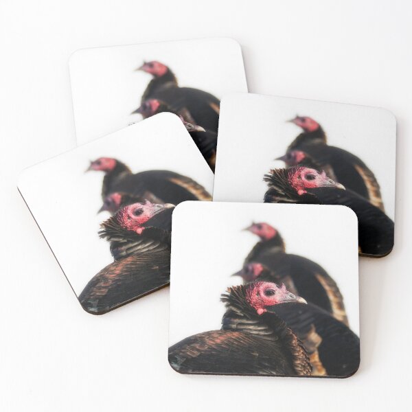 Item preview, Three Wild Turkeys designed and sold by Yannik Hay.
