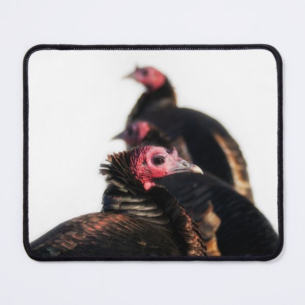 Item preview, Three Wild Turkeys designed and sold by Yannik Hay.