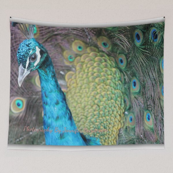 Item preview, Beautitful Peacock designed and sold by jenstar77.