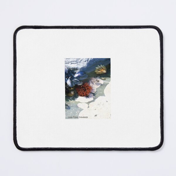 Item preview, Rockpool Love From Crantock Cornwall designed and sold by Hazel Jones - Rhodes .