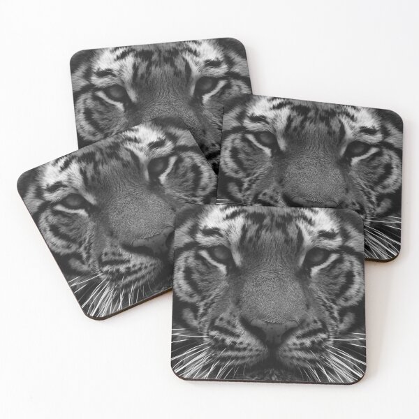 Item preview, Big Cats 106 - (c) ben yassa designed and sold by beny .