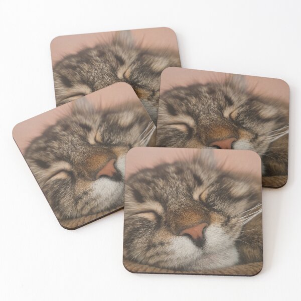 Item preview, Sleeping Siberian Cat designed and sold by Leas1104.