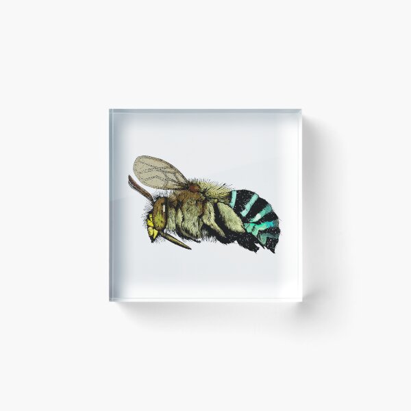 Item preview, Australian Blue Banded Bee designed and sold by SERCUL.
