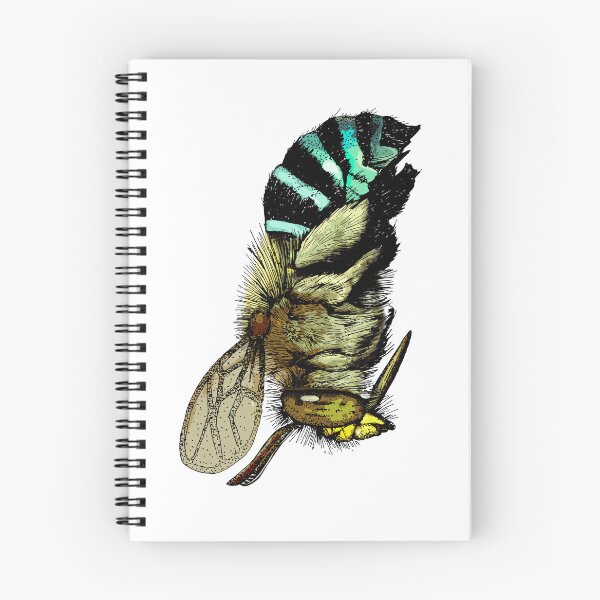 Item preview, Australian Blue Banded Bee designed and sold by SERCUL.