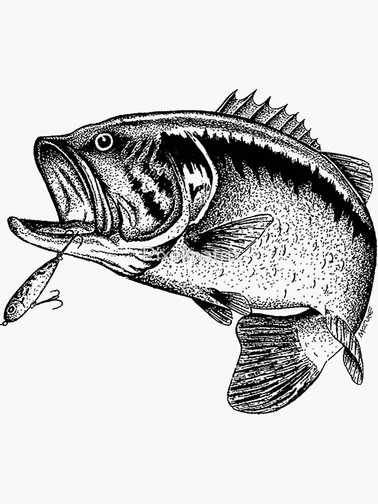 illustration: largemouth bass stickers