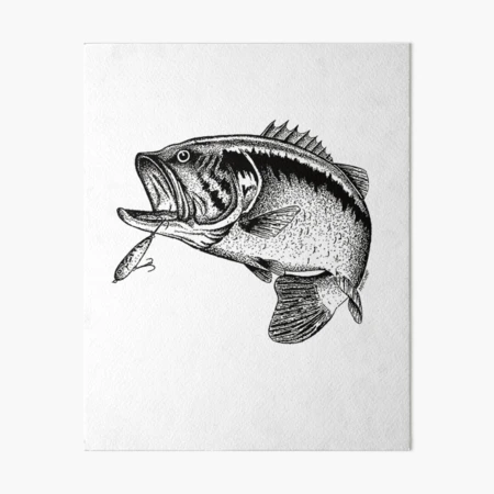 Largemouth Bass Fishing | Art Board Print
