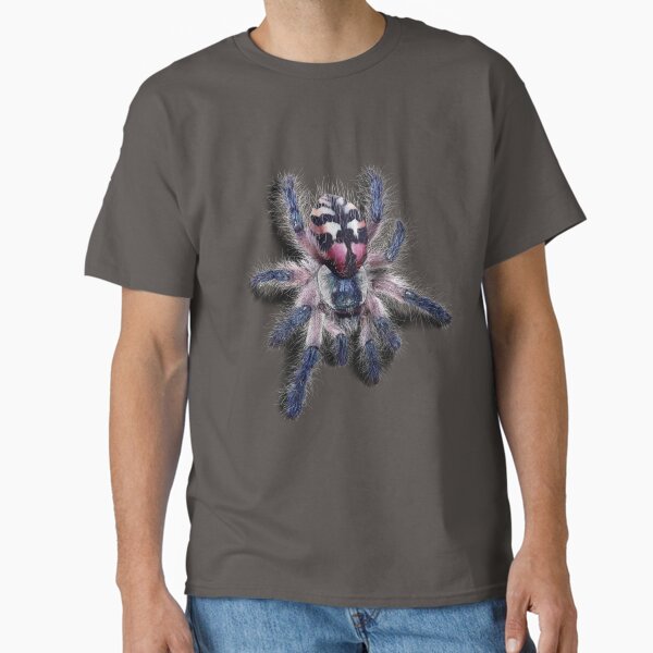 Item preview, HD 3D Tarantula Typhochlaena seladonia designed and sold by Venomnesiac.
