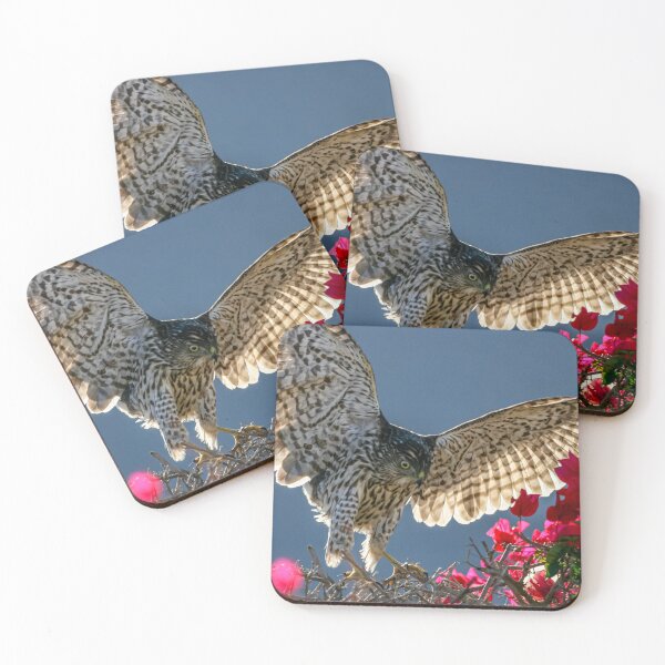 Item preview, Cooper's Hawk Hunting In Bougainvillea designed and sold by PsychoAlien.com.