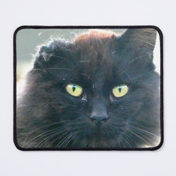 Item preview, French alley cat designed and sold by angel1.