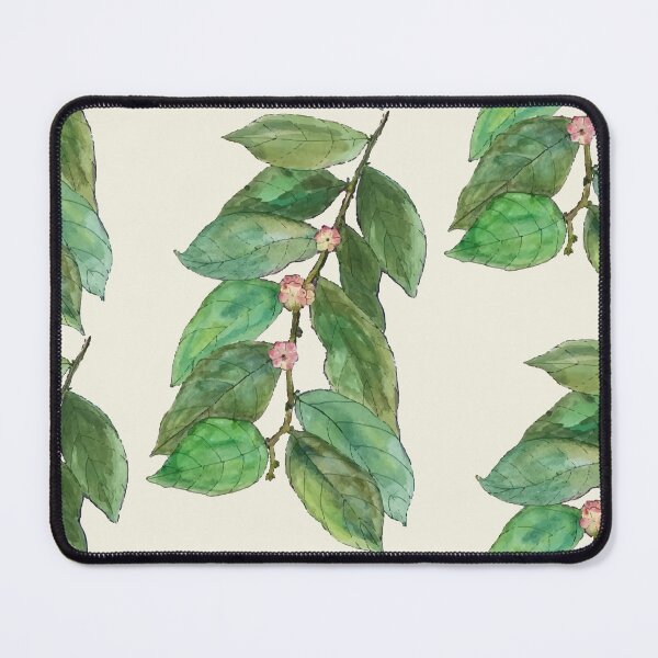 Item preview, Vietnam Botanical Plant Illustration 7 designed and sold by tuyetstudio.