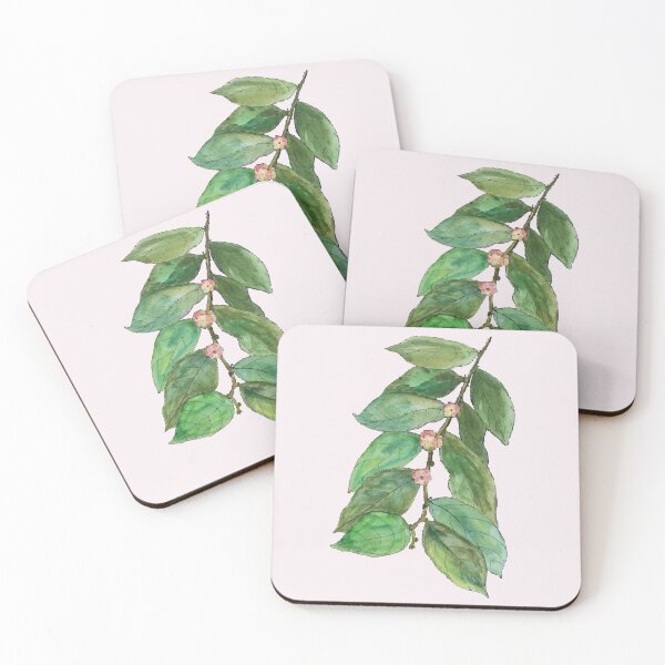 Item preview, Vietnam Botanical Plant Illustration 7 designed and sold by tuyetstudio.