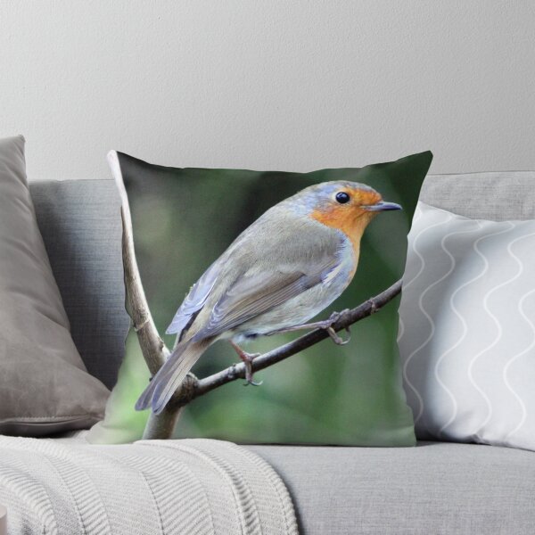 Item preview, robin designed and sold by KathleenDawson.