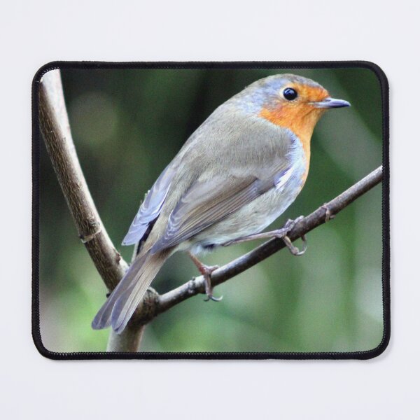 Item preview, robin designed and sold by KathleenDawson.