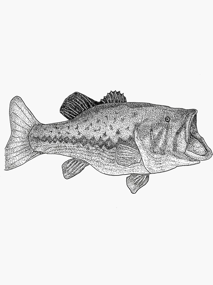 Stippled Largemouth Bass Illustration | Sticker