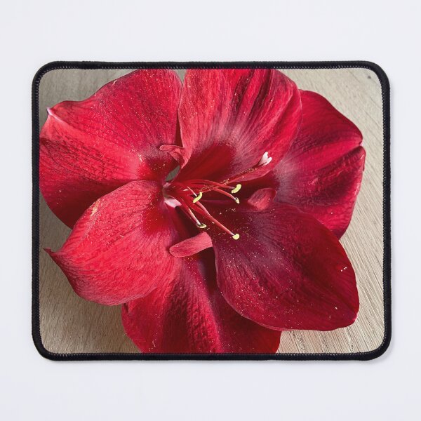 Item preview, Red Blossom designed and sold by Vollstedtjoerg.