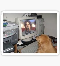The Strokes/Julian Casablancas/Golden Retriever Sticker