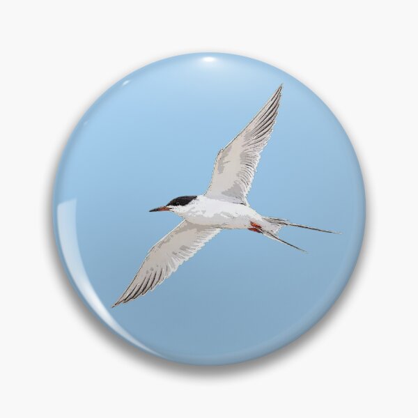 Item preview, Forster's Tern Color Design  designed and sold by designsasstultd.