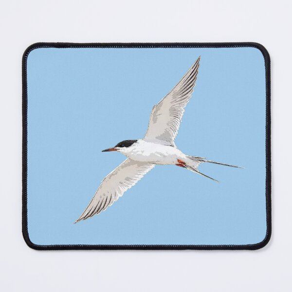 Item preview, Forster's Tern Color Design  designed and sold by designsasstultd.