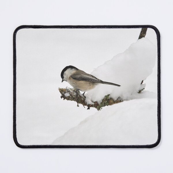 Item preview, Life on the edge. Willow tit designed and sold by Jouko Lehto Photography.