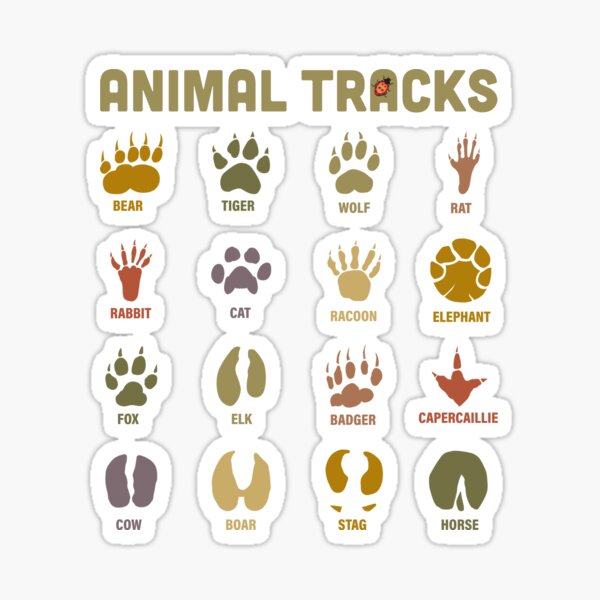 Wild Animal Tracks Learning Shirts and Gifts for Adults and Children Wild Animal Tracks Learning Shirts and Gifts for Adults and Children