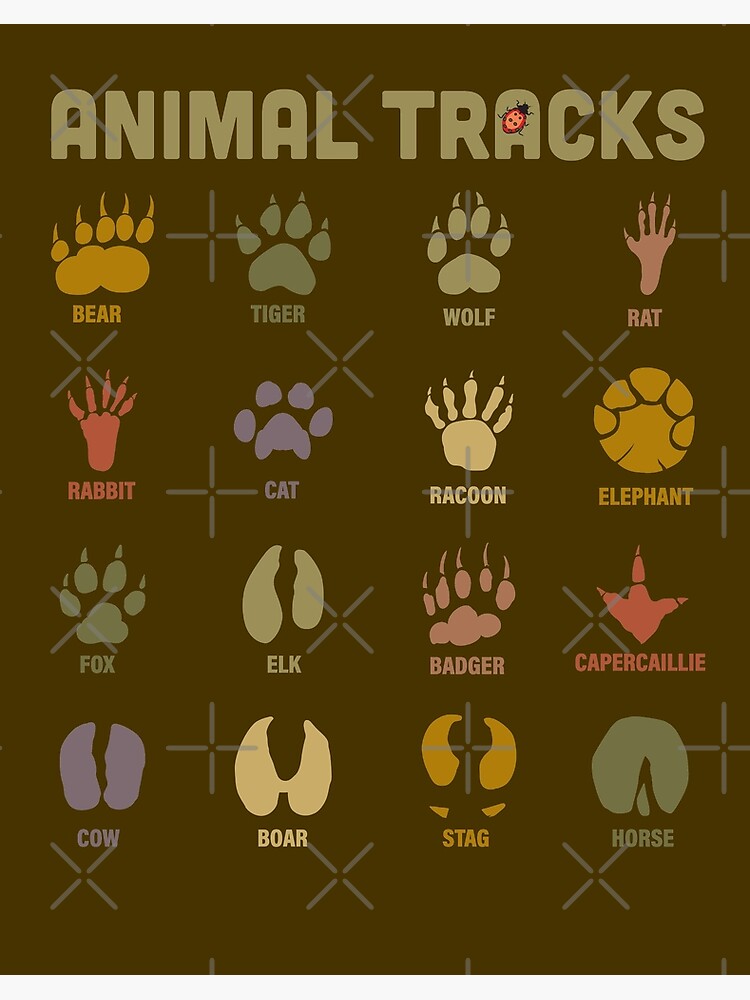 Wild Animal Tracks Learning Shirts And Gifts For Adults And Children Art Board Print By Manbird Redbubble