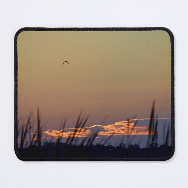 Item preview,  Apopka Wildlife Drive Sunrise designed and sold by MercerImages.