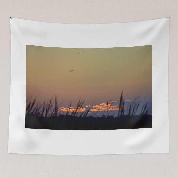 Item preview,  Apopka Wildlife Drive Sunrise designed and sold by MercerImages.