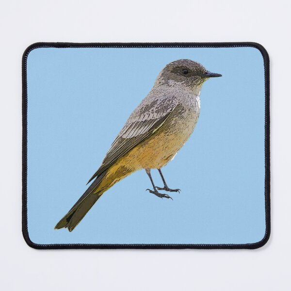 Item preview, Say's Phoebe Color Design designed and sold by designsasstultd.
