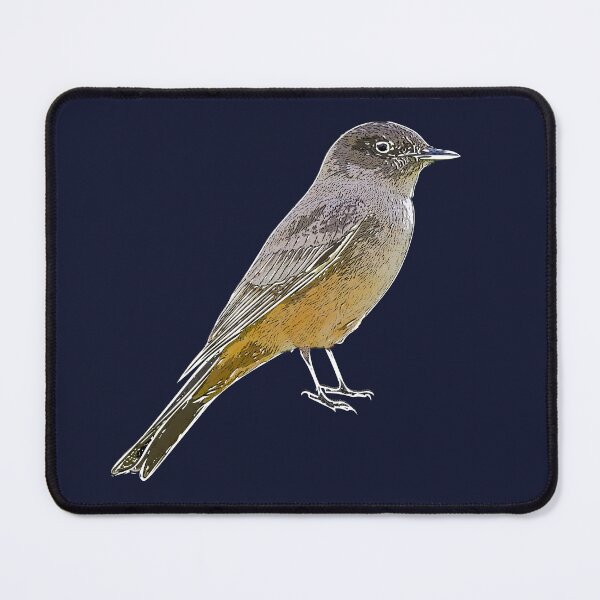 Item preview, Say's Phoebe White Alternate Design designed and sold by designsasstultd.