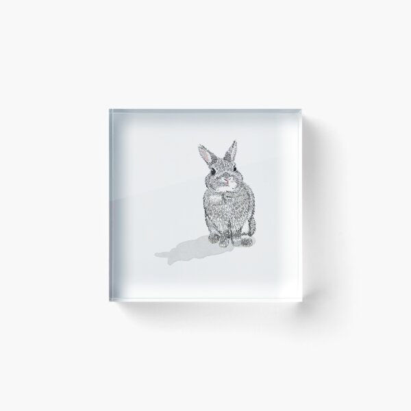 Item preview, Netherland Dwarf Rabbit designed and sold by TachiHanchi.