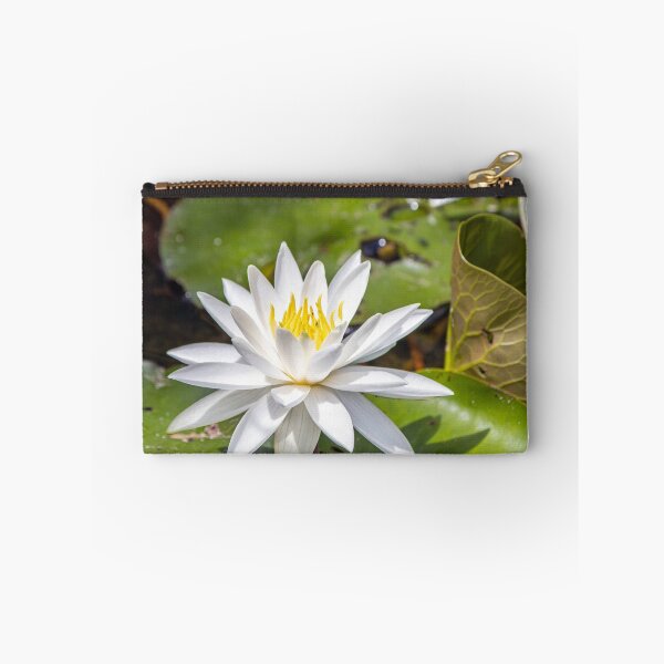 Item preview, Pond Lilly Perfection designed and sold by ValueEveryThing.