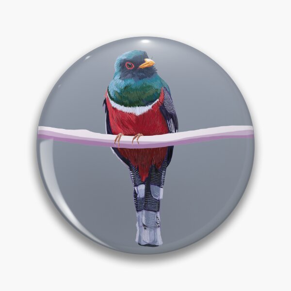 Item preview, Masked Trogon (Grey) designed and sold by okaymoose.