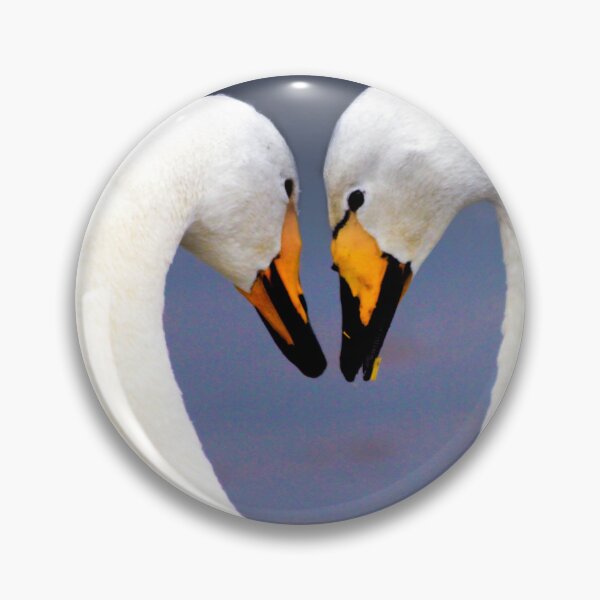 Item preview, Swans in Loveheart Pose designed and sold by derekbeattie.