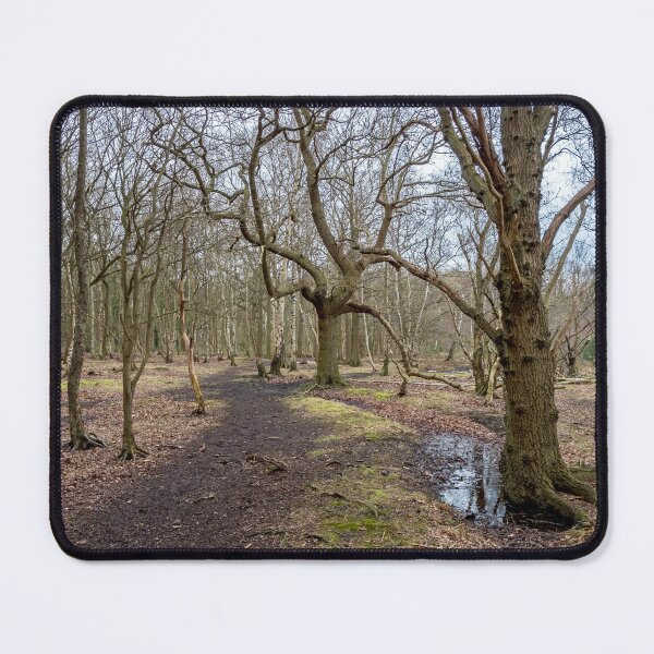 Item preview, Silent Woods in Winter designed and sold by ADCImages.