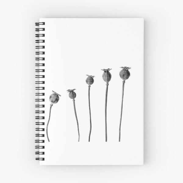 Item preview, Poppy Seed Heads in Monochrome designed and sold by Phillip Dove Photography.