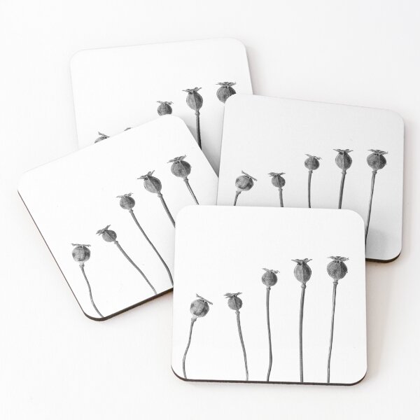 Item preview, Poppy Seed Heads in Monochrome designed and sold by Phillip Dove Photography.