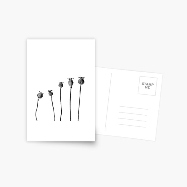 Item preview, Poppy Seed Heads in Monochrome designed and sold by Phillip Dove Photography.