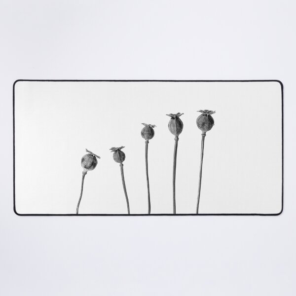 Item preview, Poppy Seed Heads in Monochrome designed and sold by Phillip Dove Photography.