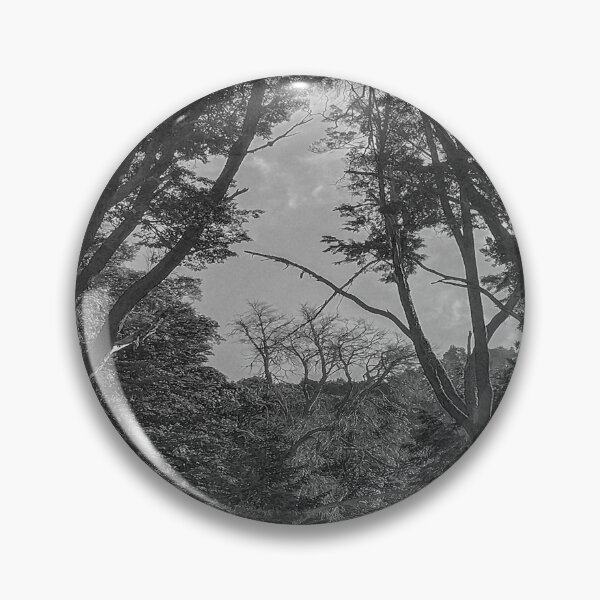 Item preview, Patagonia forest, nahuel huapi national park, rio negro, argentina designed and sold by DFLC Prints.