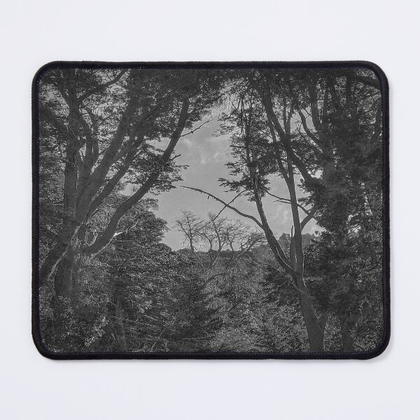 Item preview, Patagonia forest, nahuel huapi national park, rio negro, argentina designed and sold by DFLC Prints.