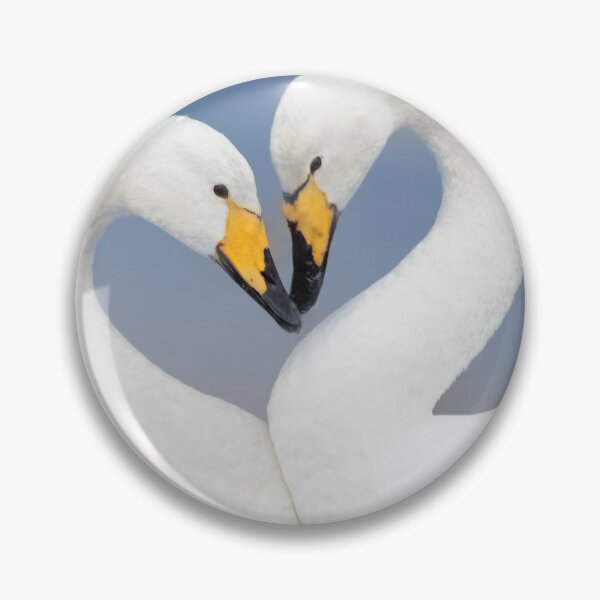 Item preview, Whooper Swans Love Heart Pose designed and sold by derekbeattie.