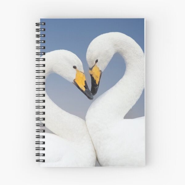 Item preview, Whooper Swans Love Heart Pose designed and sold by derekbeattie.
